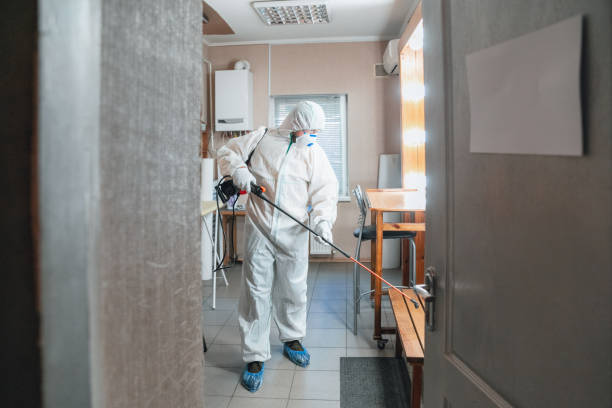 Best Environmental Consulting for Mold Prevention  in North Cape May, NJ