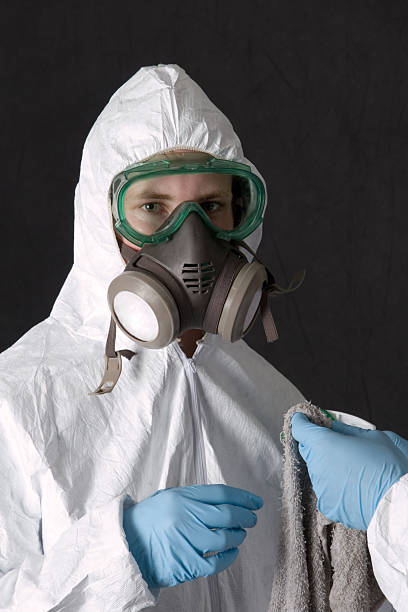 Best Mold Odor Removal Services  in North Cape May, NJ